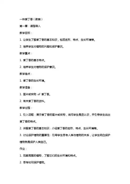 一株紫丁香(教案)