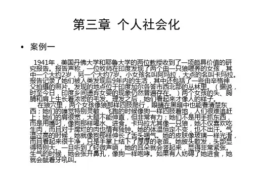 第三章 个人社会化(学生版)
