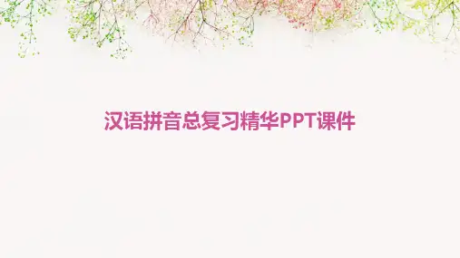汉语拼音总复习精华课件(-)