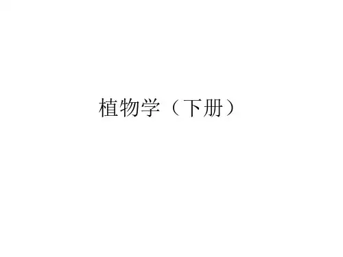 植物学陆时万吴国芳讲义2