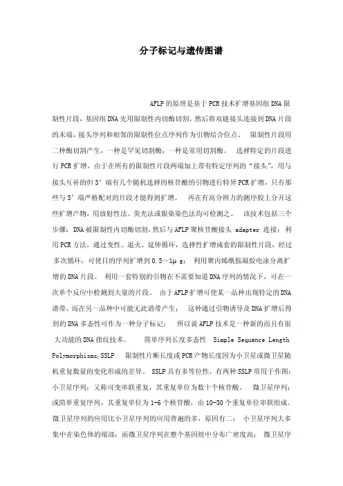 分子标记与遗传图谱