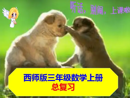 西师大版三年级数学上册总复习课件