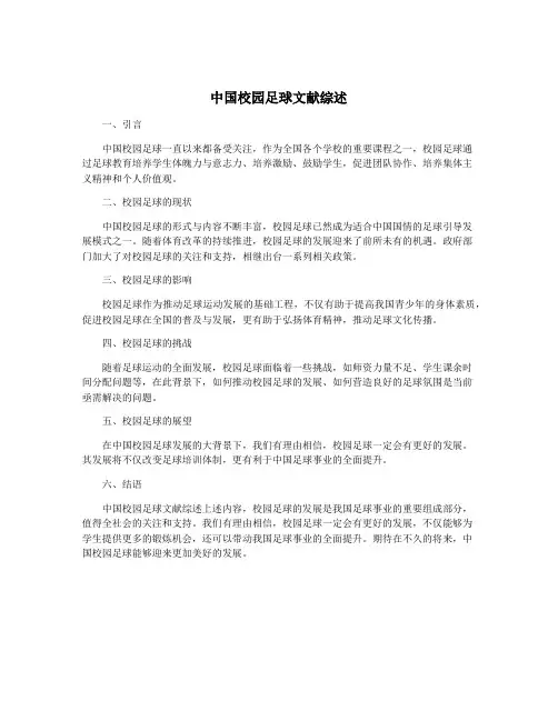 中国校园足球文献综述