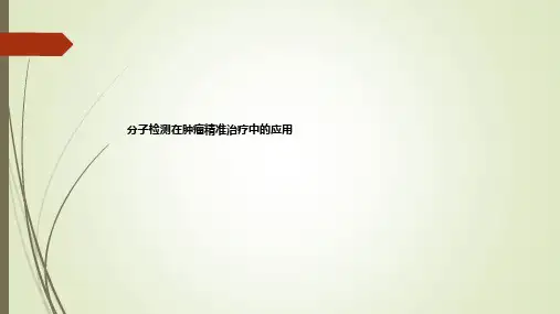 分子检测在肿瘤精准治疗中的应用ppt课件