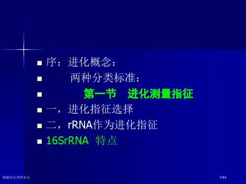 细菌的分类和命名