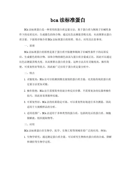 bca法标准蛋白