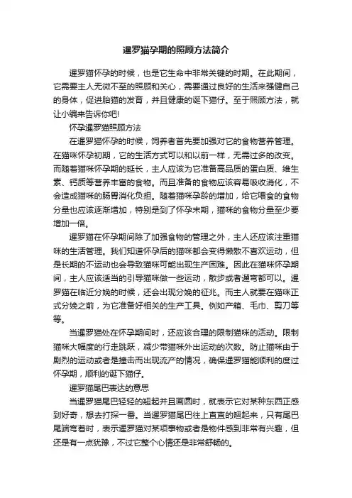 暹罗猫孕期的照顾方法简介