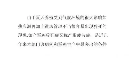 夏天为什么尤其注意产蛋鸡的猝死症-