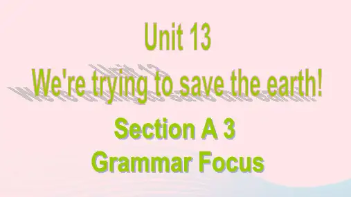英语九年级全册Unit13SectionAgrammarfocus教学课件 人教新目标版