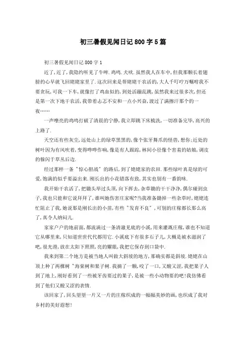 初三暑假见闻日记800字5篇