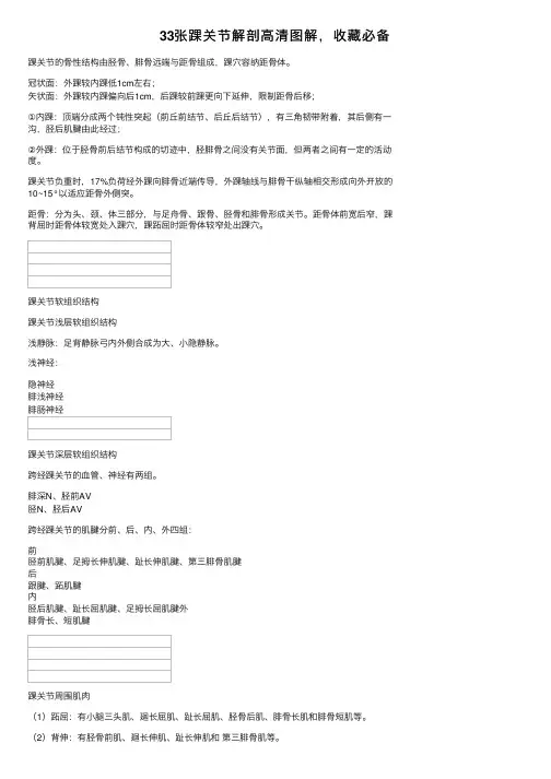 33张踝关节解剖高清图解，收藏必备