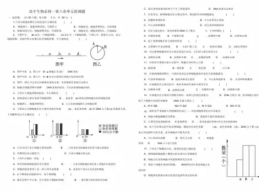 高中生物必修1第六章试题及答案
