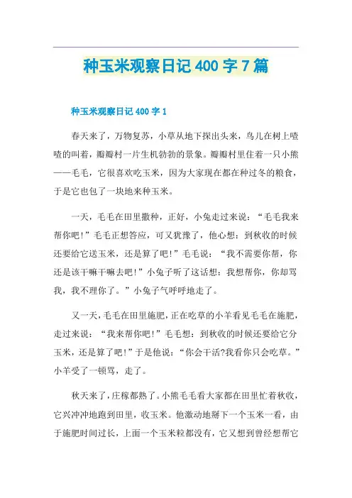 种玉米观察日记400字7篇