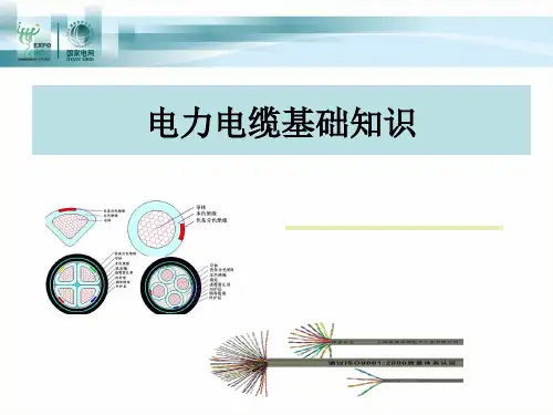 电力电缆基础知识培训