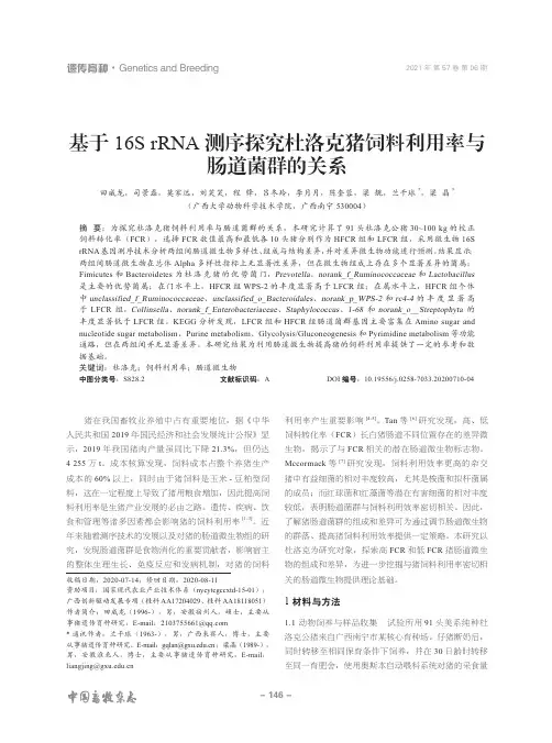 基于16S rRNA测序探究杜洛克猪饲料利用率与肠道菌群的关系