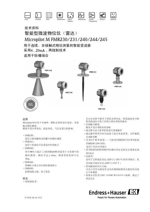 E+H雷达说明书