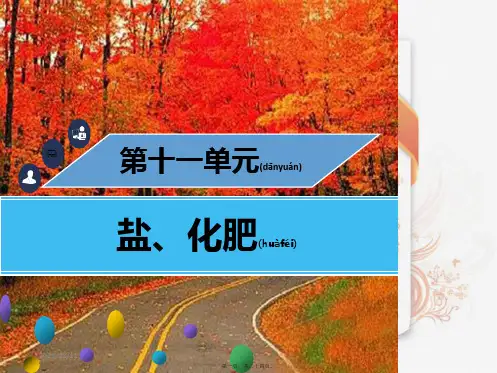 九年级化学下册 第十一单元 盐、化肥 课题2 化学肥料课件初中