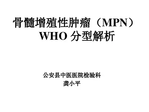 骨髓增殖性肿瘤MPN