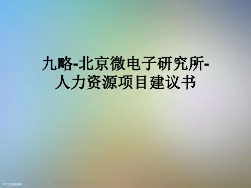 九略-北京微电子研究所-人力资源项目建议书