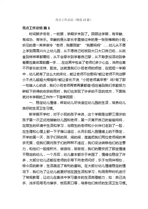 亮点工作总结（精选13篇）