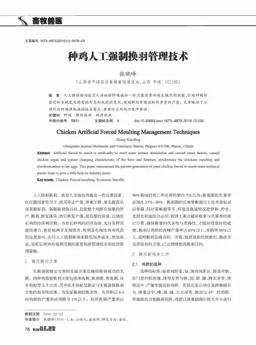 种鸡人工强制换羽管理技术