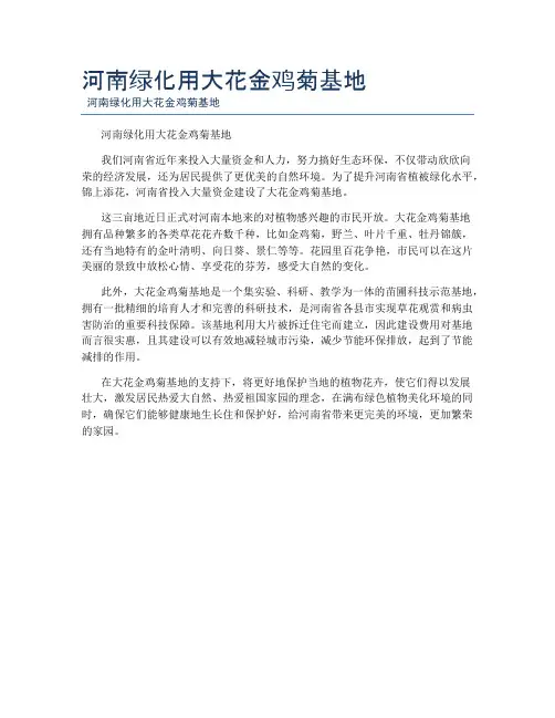 河南绿化用大花金鸡菊基地
