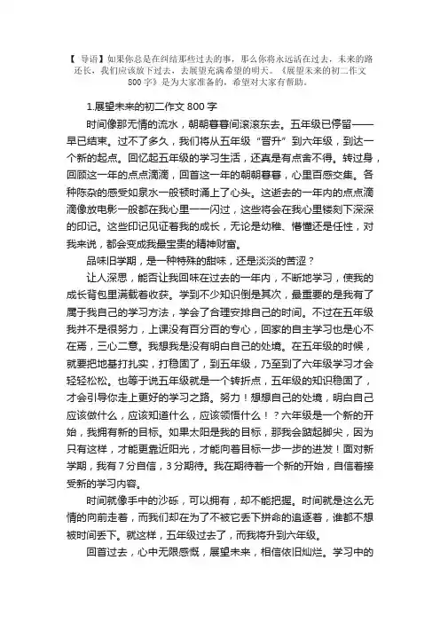 展望未来的初二作文800字【精选5篇】