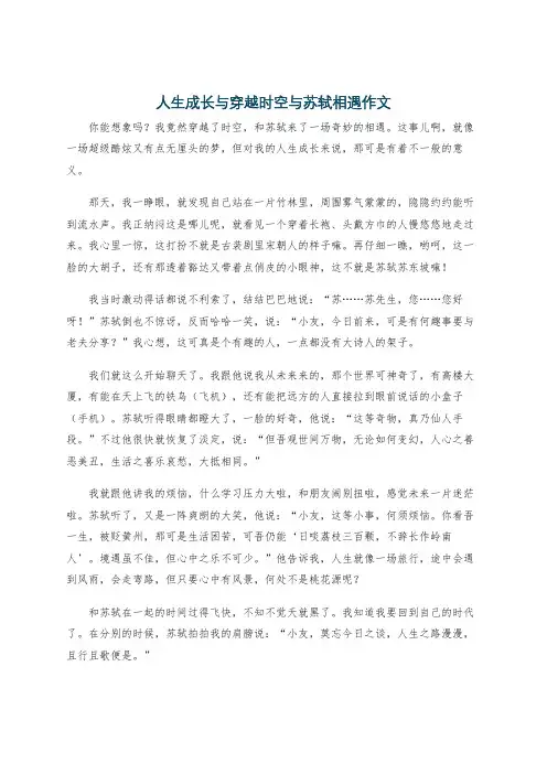 人生成长与穿越时空与苏轼相遇作文