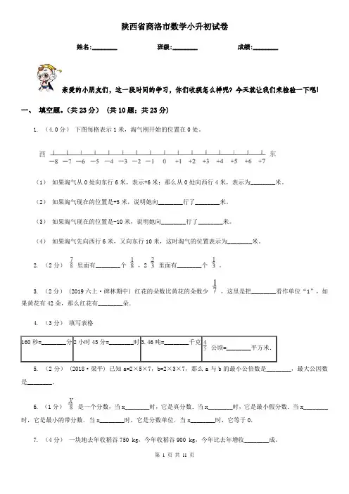 陕西省商洛市数学小升初试卷