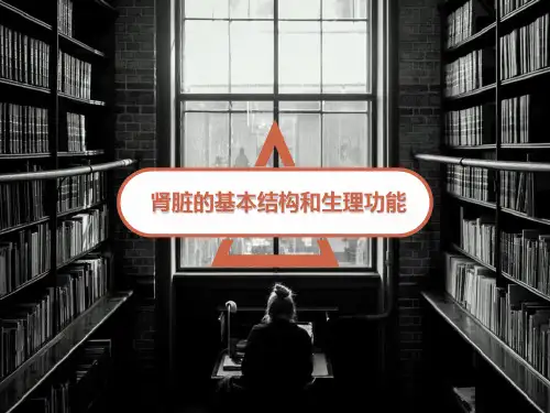 肾脏的基本结构和生理功能---PPT精品课件