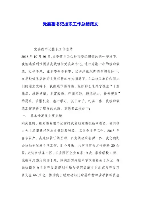 党委副书记挂职工作总结范文