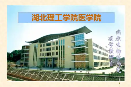 医学免疫学ppt课件第十七章超敏反应