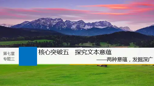 2019届高考一轮复习备考资料文学类文本阅读+小说阅读——基于理解与感悟的审美鉴赏阅读+专题三+核心突破五