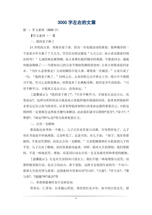 3000字左右的文章