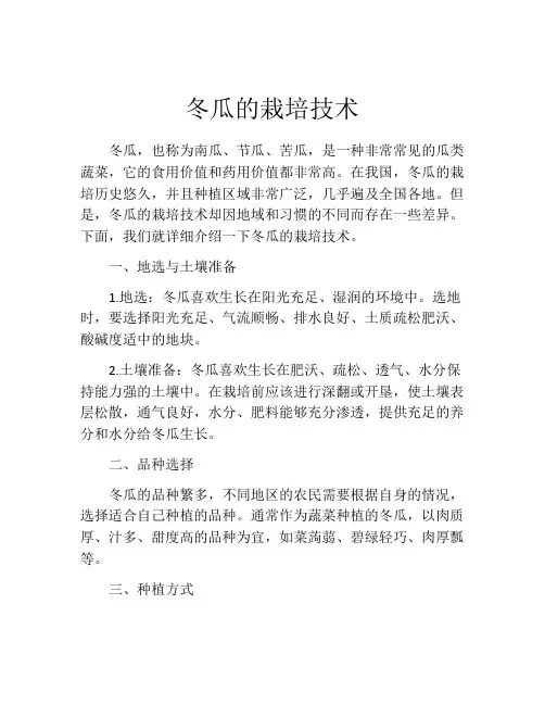 冬瓜的栽培技术