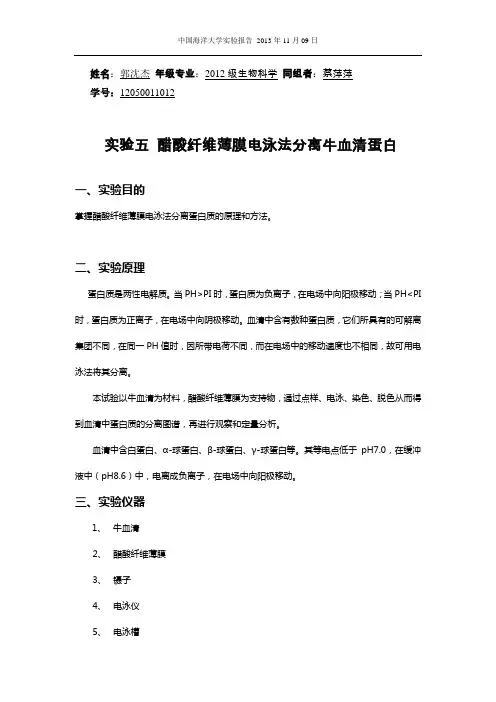 实验五 醋酸纤维薄膜电泳法分离牛血清蛋白