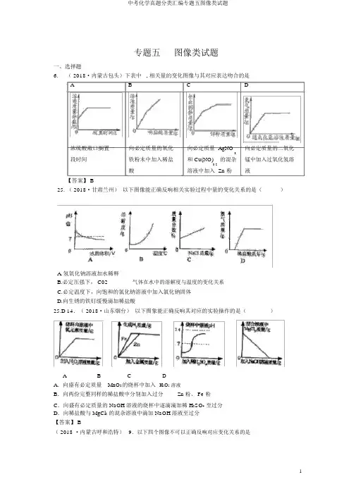 中考化学真题分类汇编专题五图像类试题