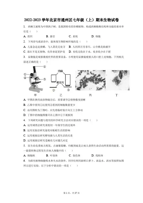 2022-2023学年北京市通州区七年级(上)期末生物试卷(附答案详解)