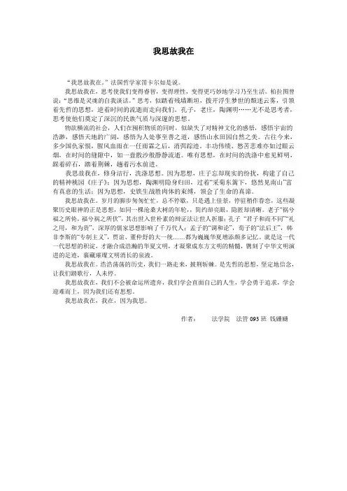 我思故我在