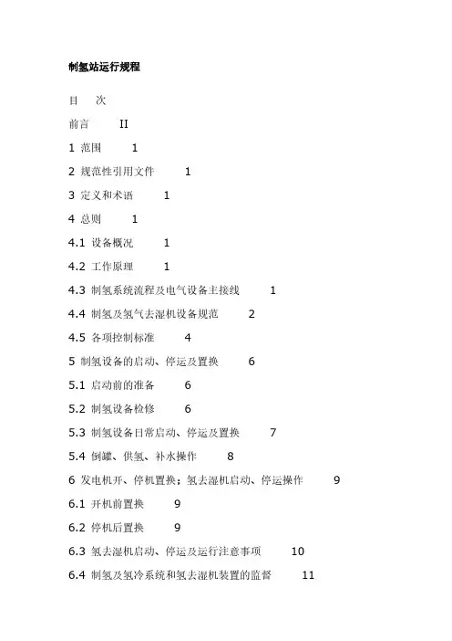 【VIP专享】制氢站运行规程