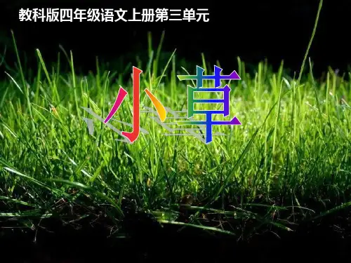 《小草》PPT课件