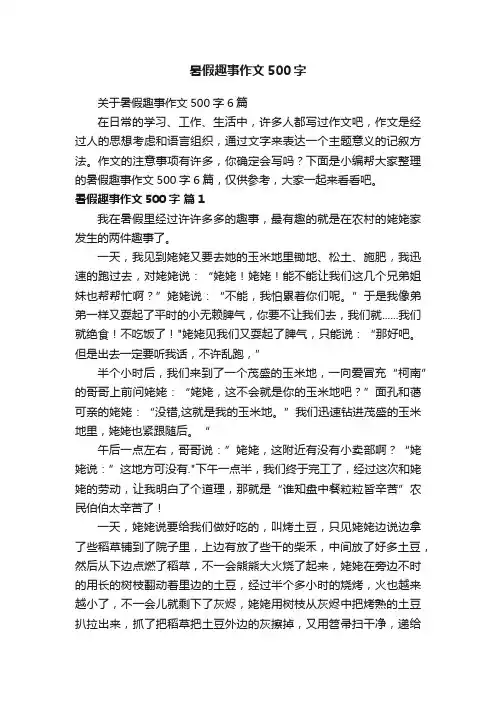 暑假趣事作文500字