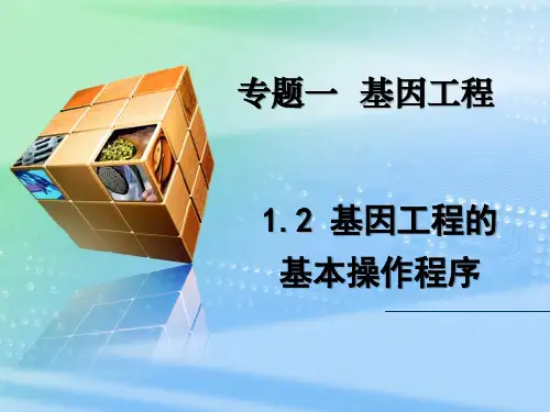 基因工程的原理和技术