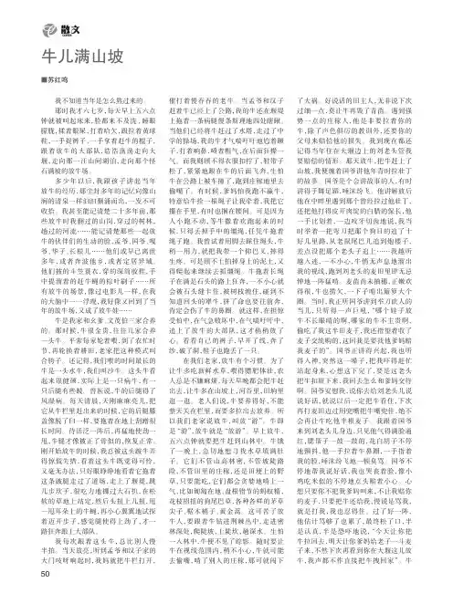 牛儿满山坡