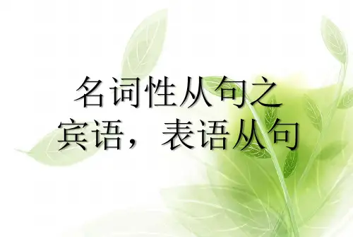 宾语,表语从句