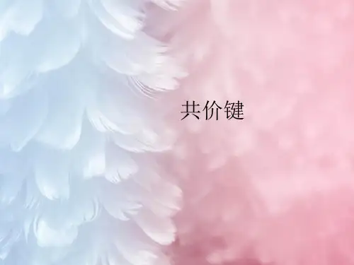 共价键PPT教学课件