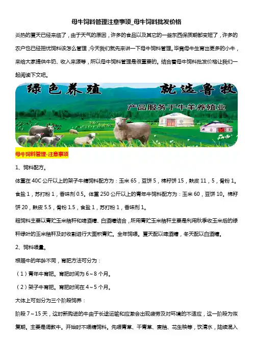 母牛饲料管理注意事项_母牛饲料批发价格