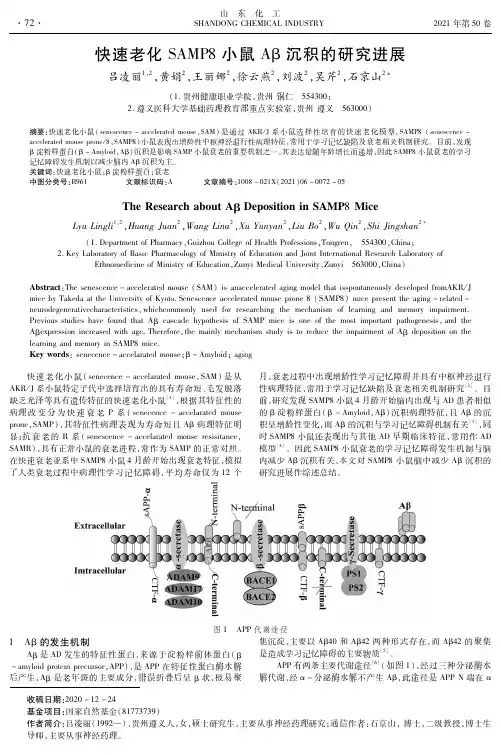 快速老化SAMP8小鼠Aβ沉积的研究进展