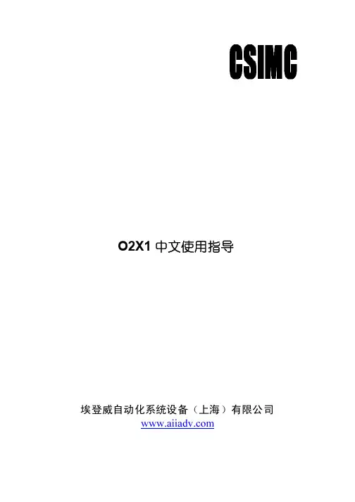美国GEO2X1氧分析仪中文操作手册