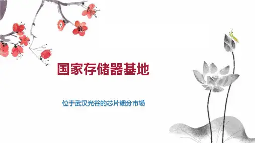 国家存储器基地